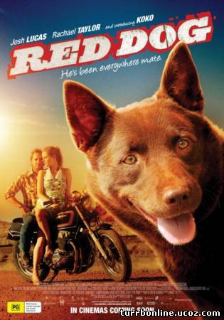Рыжий пес / Red Dog  смотреть онлайн бесплатно